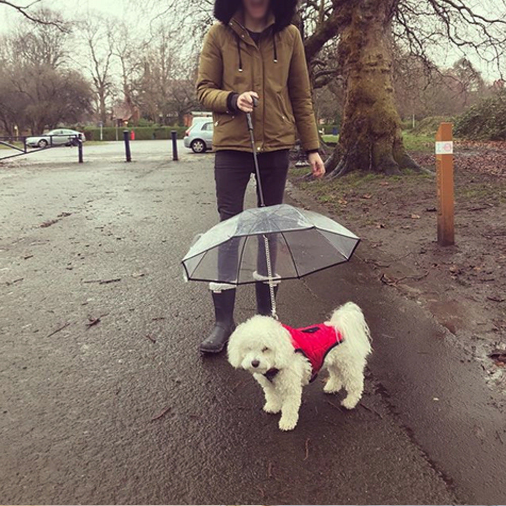 Transparent Pet Umbrella for dogs