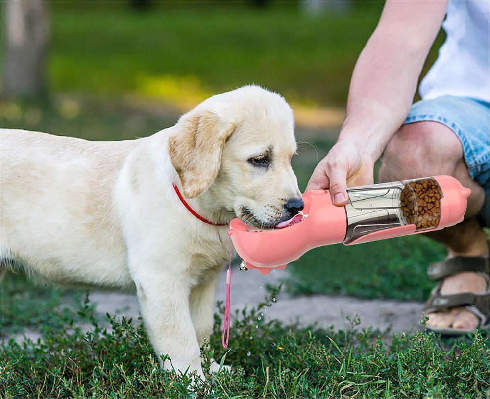 Pet Water Bottle Feeder Bowl