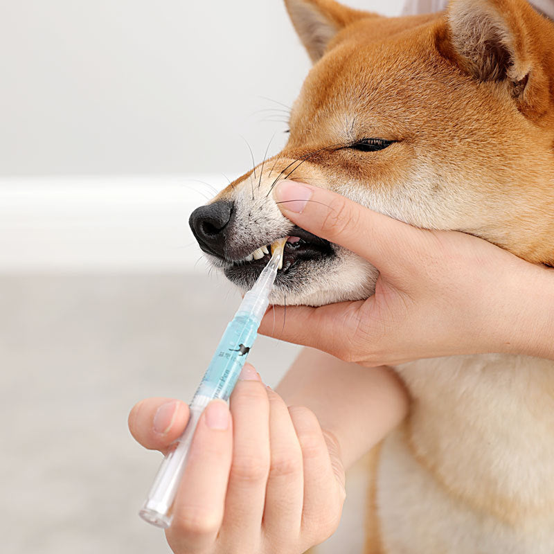 Dog Cat Teeth Cleaning Pen Kit