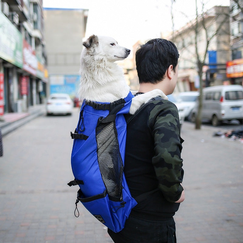 Double Shoulder Portable Travel Backpack